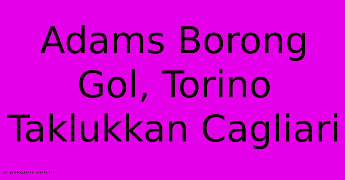 Adams Borong Gol, Torino Taklukkan Cagliari