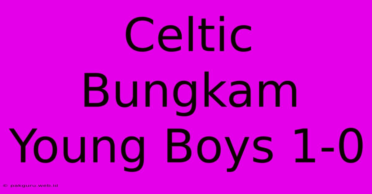 Celtic Bungkam Young Boys 1-0