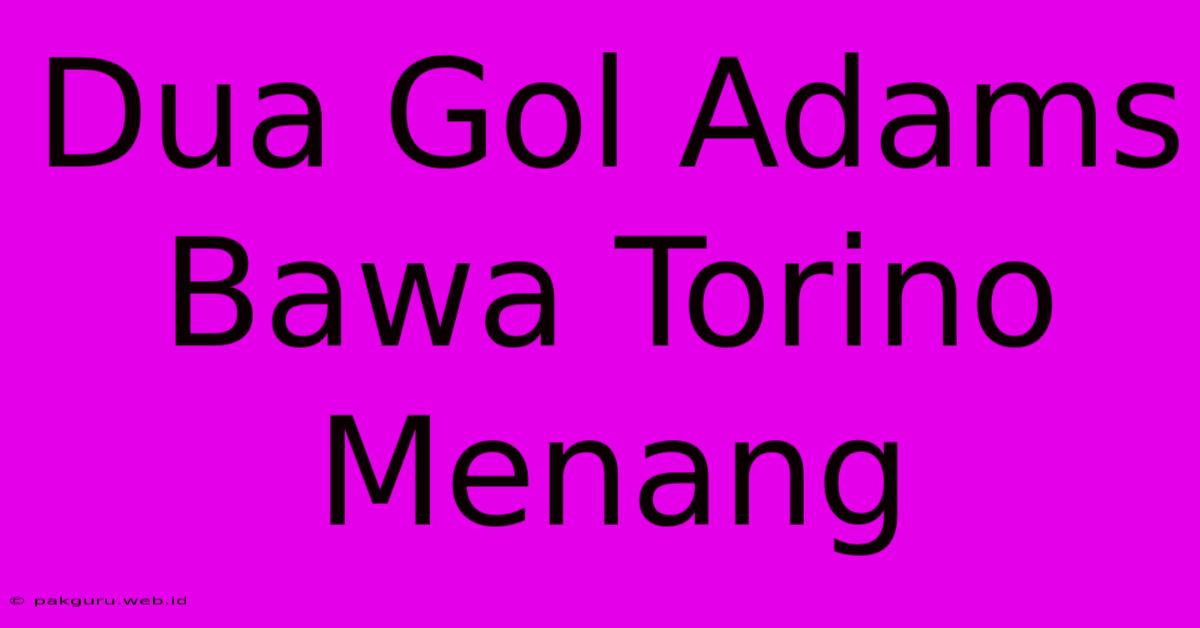 Dua Gol Adams Bawa Torino Menang