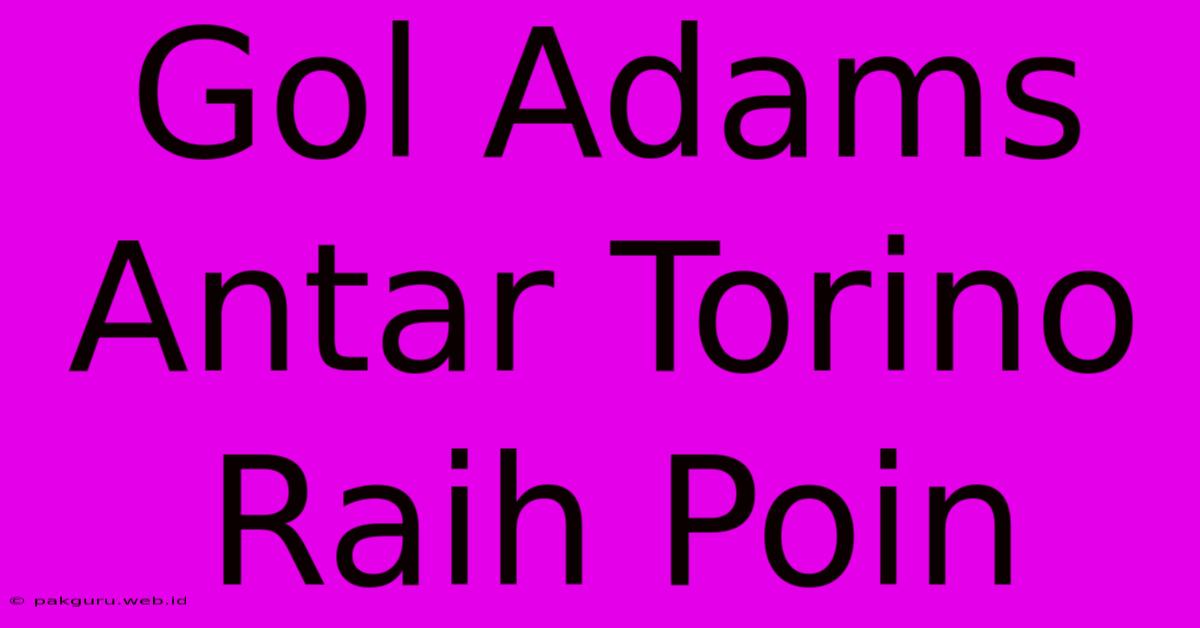 Gol Adams Antar Torino Raih Poin