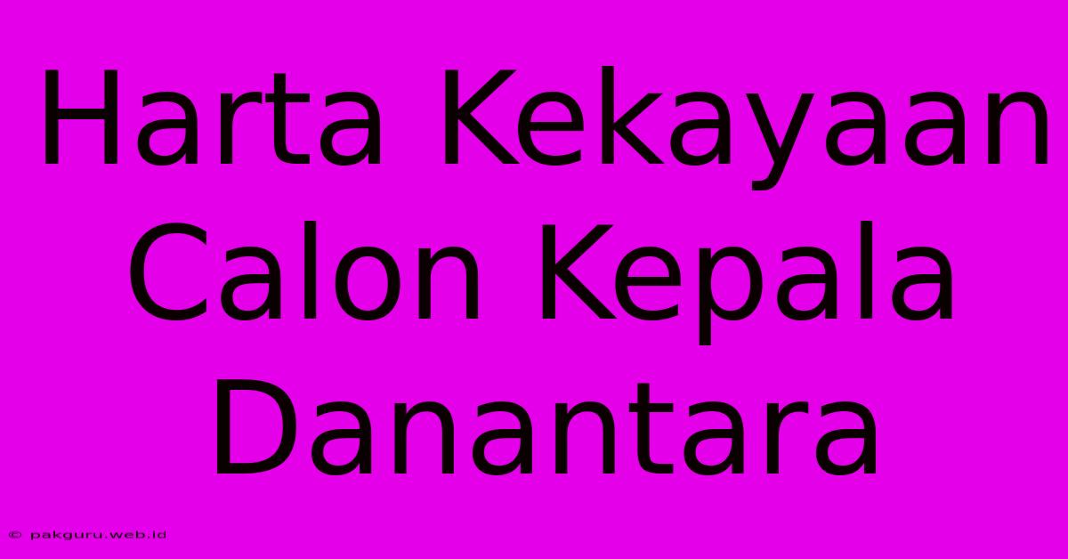 Harta Kekayaan Calon Kepala Danantara