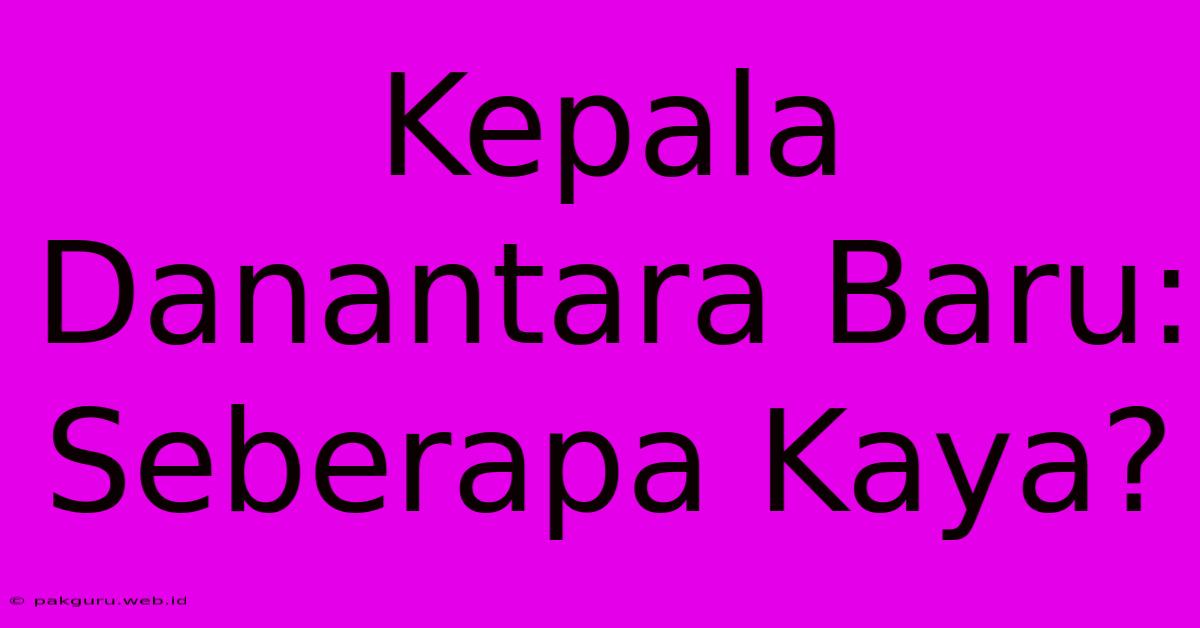 Kepala Danantara Baru: Seberapa Kaya?