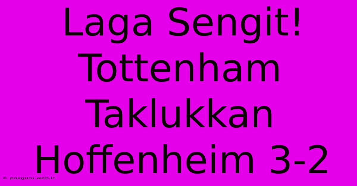 Laga Sengit! Tottenham Taklukkan Hoffenheim 3-2