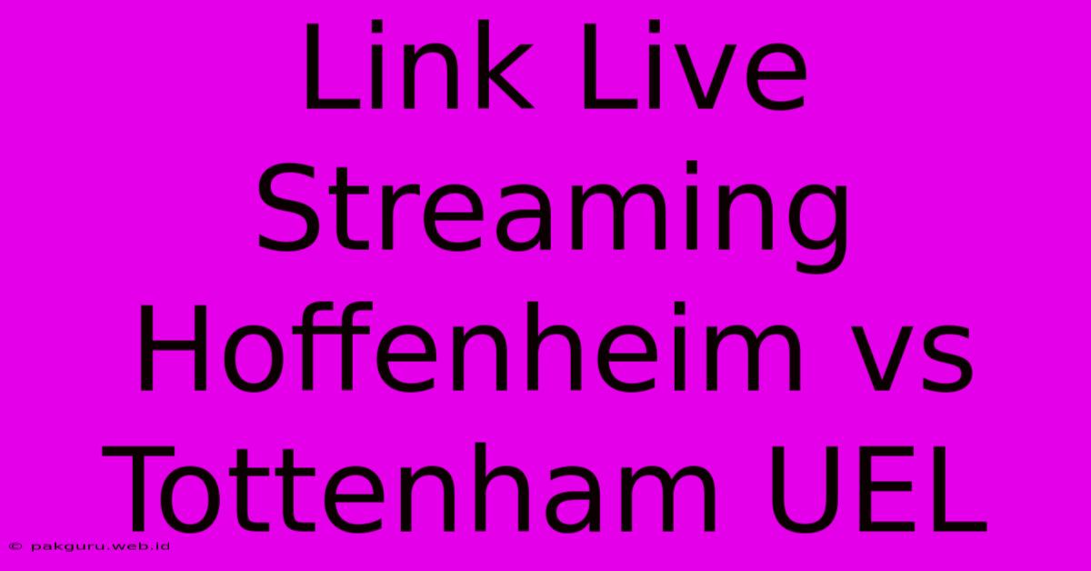 Link Live Streaming Hoffenheim Vs Tottenham UEL