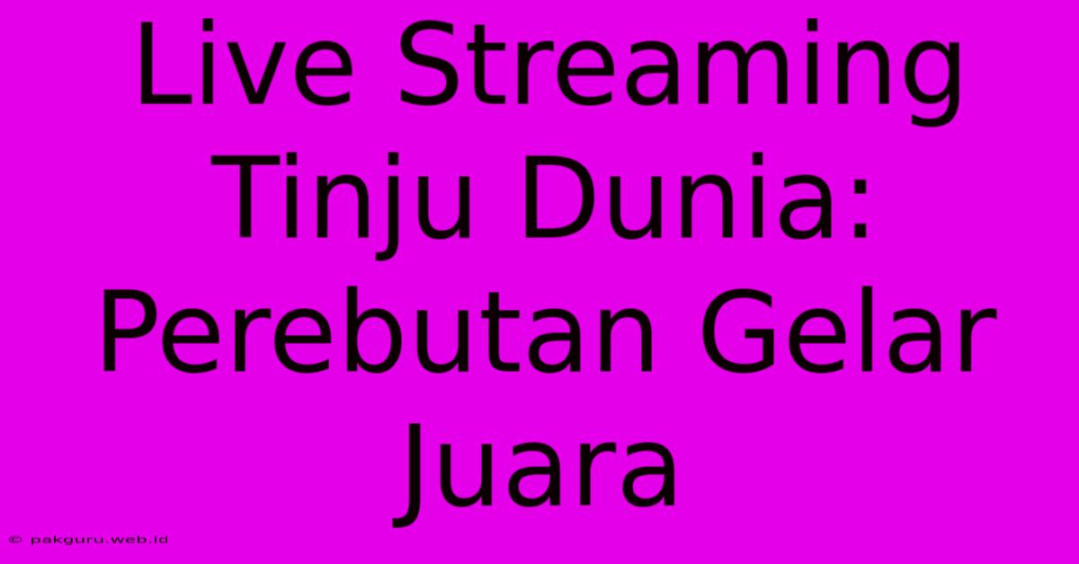 Live Streaming Tinju Dunia: Perebutan Gelar Juara