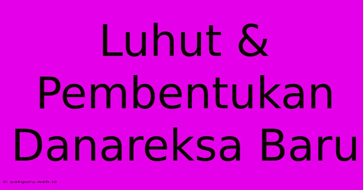 Luhut & Pembentukan Danareksa Baru