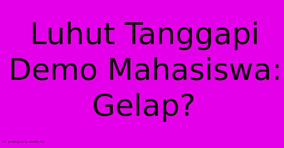 Luhut Tanggapi Demo Mahasiswa: Gelap?