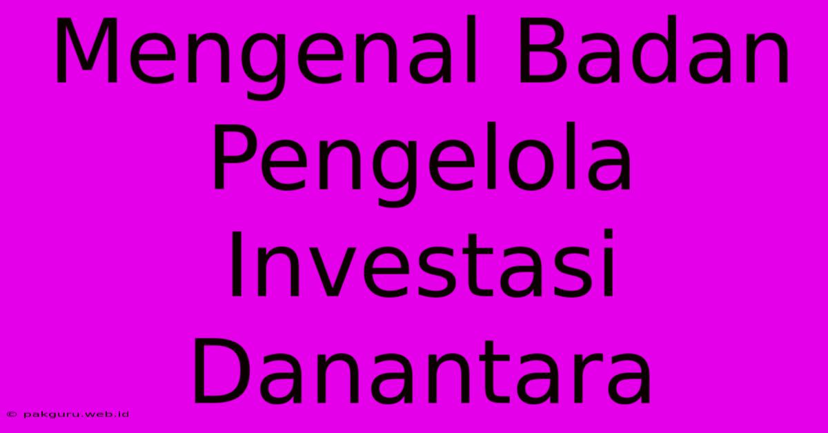 Mengenal Badan Pengelola Investasi Danantara