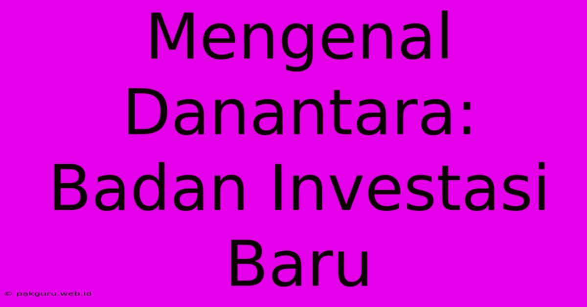 Mengenal Danantara: Badan Investasi Baru