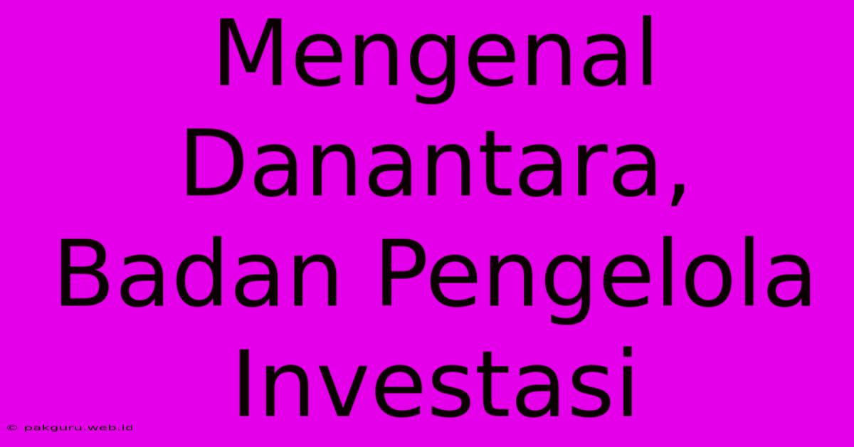 Mengenal Danantara, Badan Pengelola Investasi