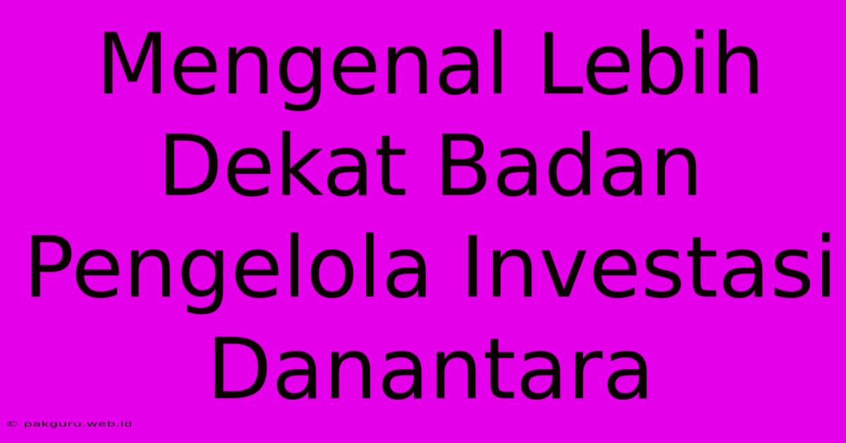 Mengenal Lebih Dekat Badan Pengelola Investasi Danantara