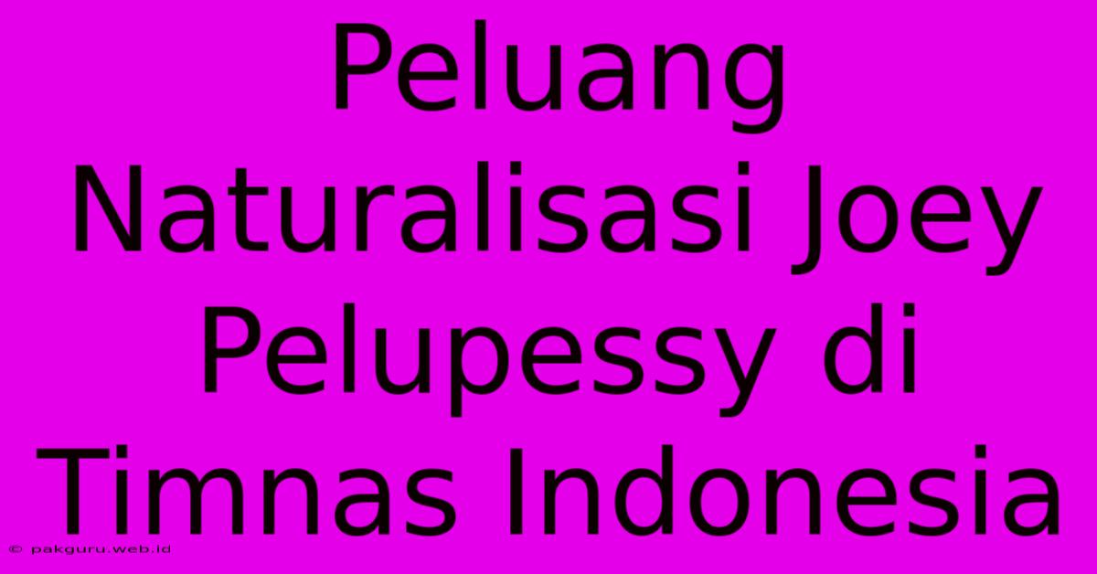 Peluang Naturalisasi Joey Pelupessy Di Timnas Indonesia