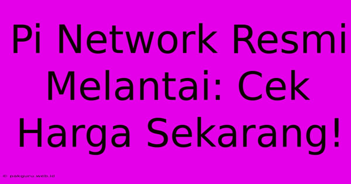 Pi Network Resmi Melantai: Cek Harga Sekarang!