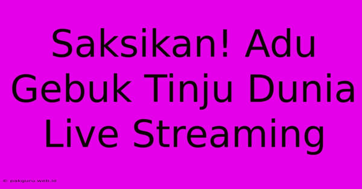 Saksikan! Adu Gebuk Tinju Dunia Live Streaming