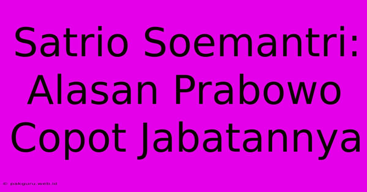 Satrio Soemantri:  Alasan Prabowo Copot Jabatannya