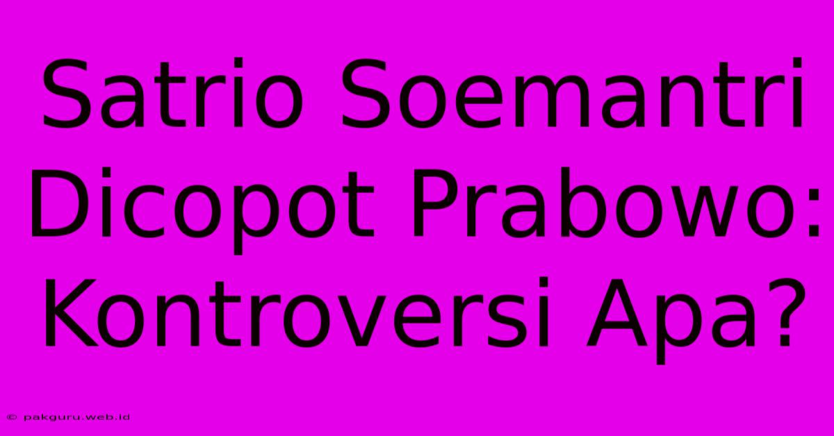 Satrio Soemantri Dicopot Prabowo: Kontroversi Apa?