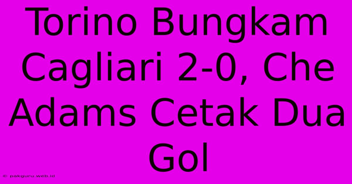 Torino Bungkam Cagliari 2-0, Che Adams Cetak Dua Gol