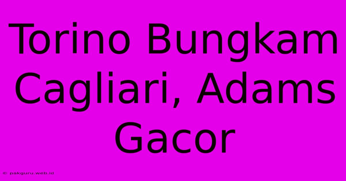 Torino Bungkam Cagliari, Adams Gacor