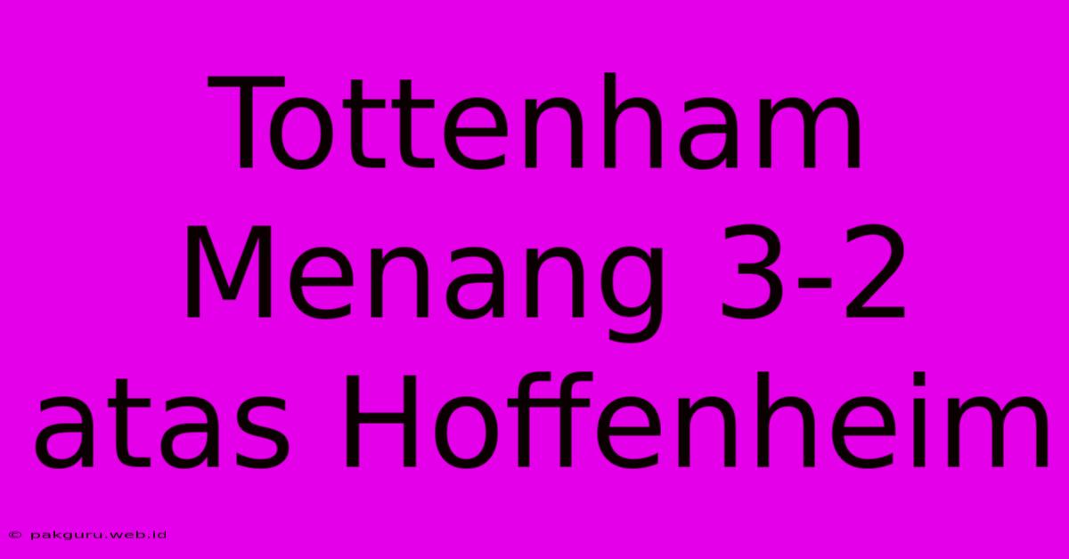 Tottenham Menang 3-2 Atas Hoffenheim