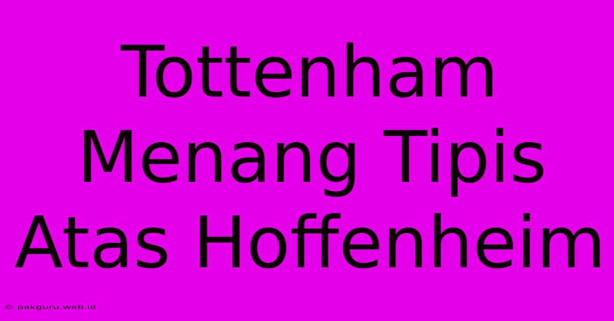 Tottenham Menang Tipis Atas Hoffenheim